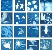 Sunprint Discovery Studio