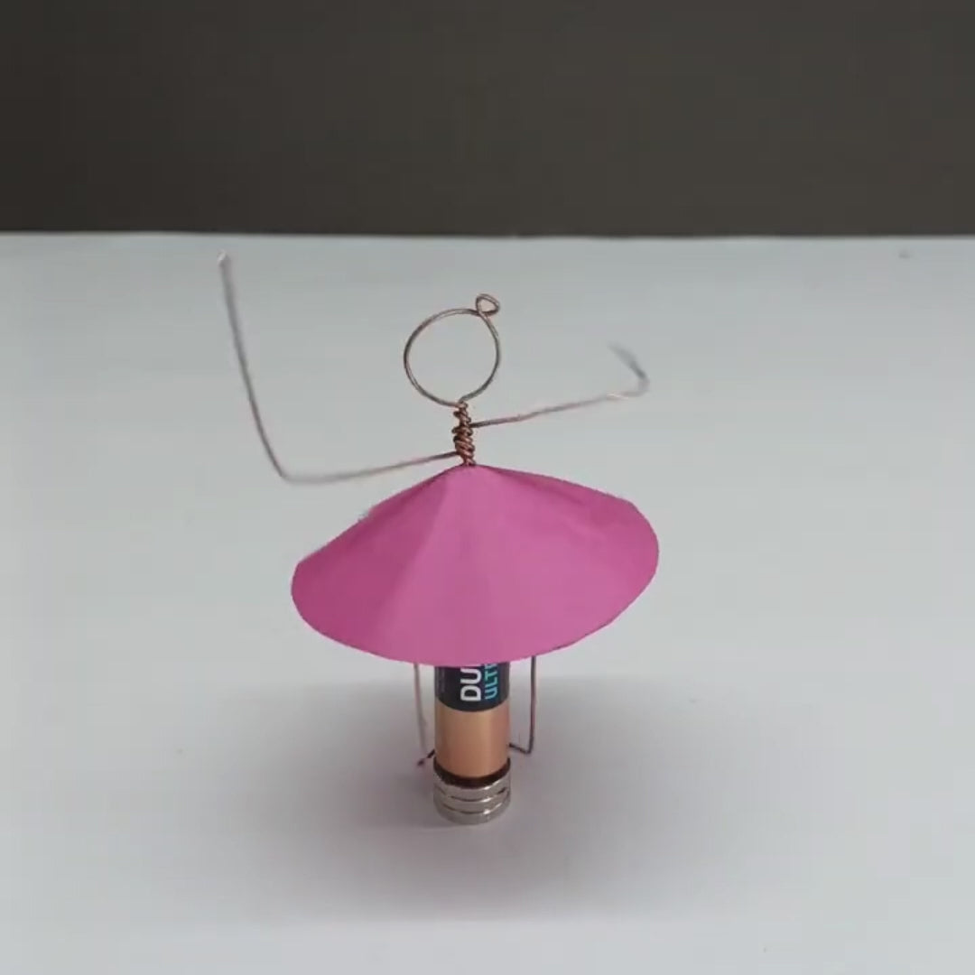 Homopolar Motor Kit